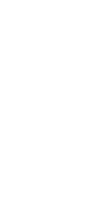 互生(ごせい)